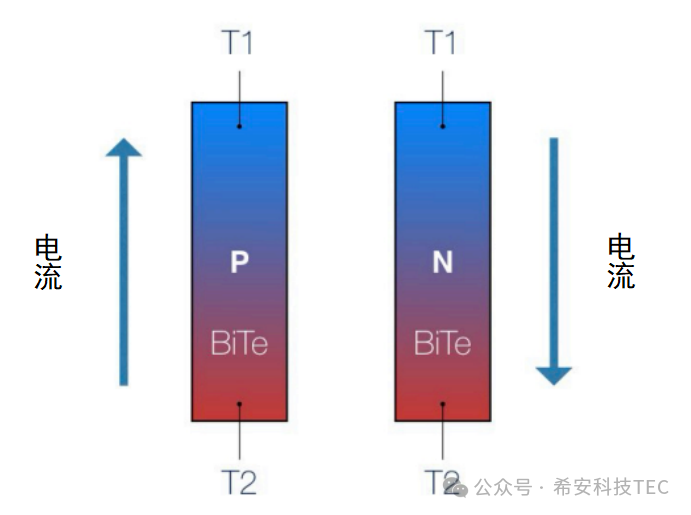 Nola funtzionatzen du TEC?